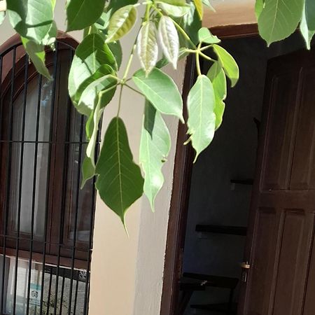 La Montana Bed & Breakfast Cafayate Ngoại thất bức ảnh