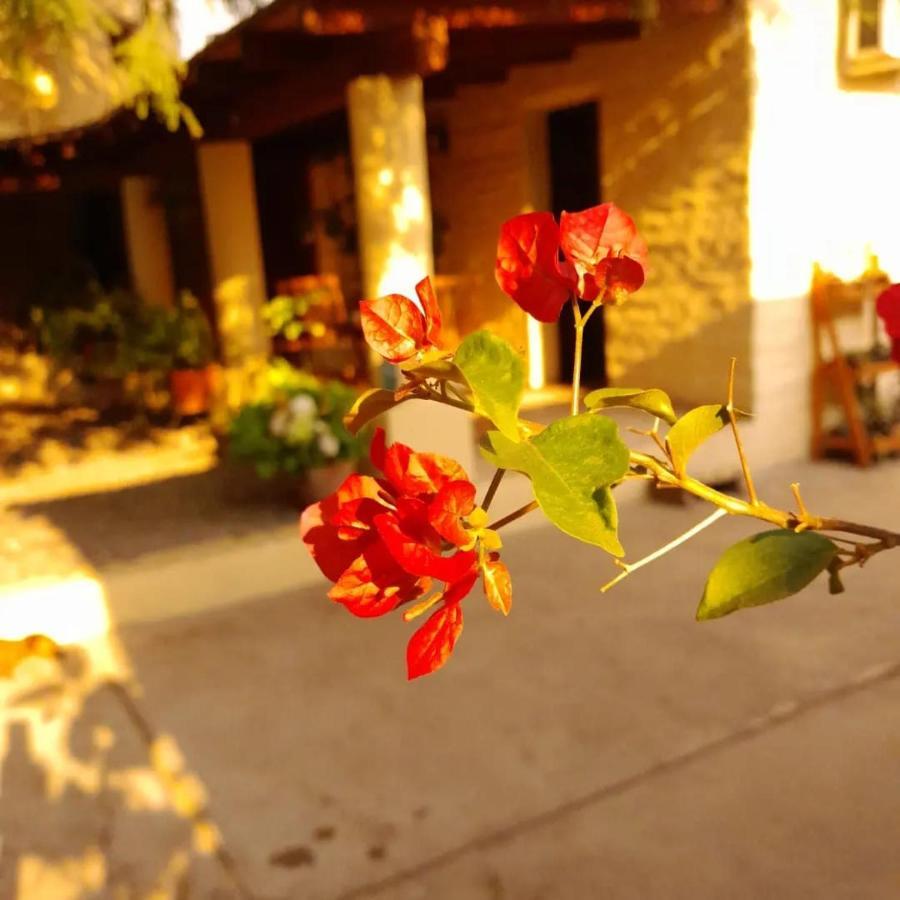 La Montana Bed & Breakfast Cafayate Ngoại thất bức ảnh