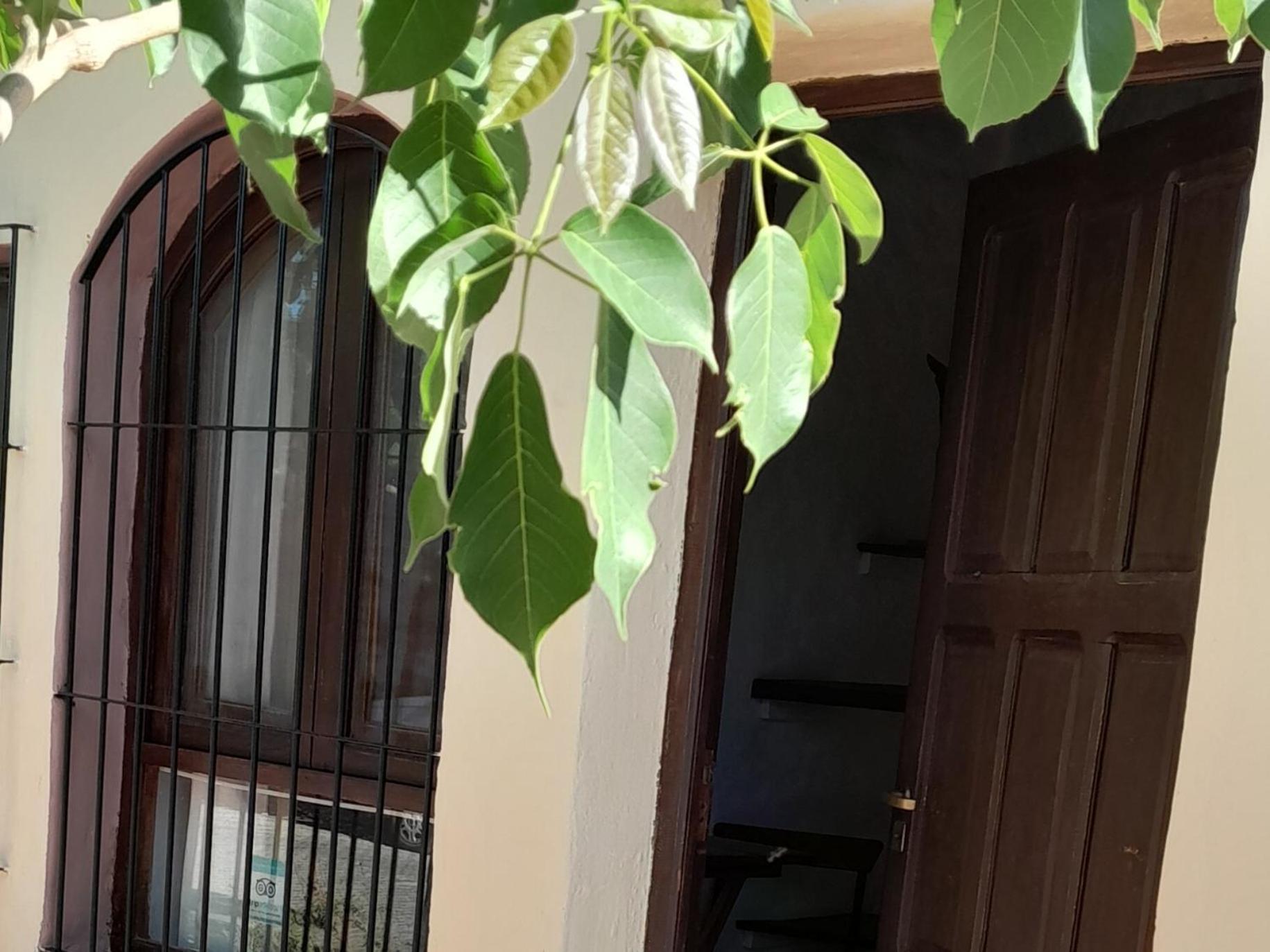 La Montana Bed & Breakfast Cafayate Ngoại thất bức ảnh